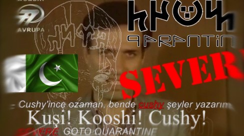 Exploring Australian Vowel Harmony Through Turkish: A Prosodic Examination
