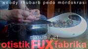 MASUMİYET | Masumiyet | Psikotik Medya Kültür