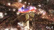Abojuwis : African Click Tracker - Mor Mantar | Sun Shower With The Purple Spotted Mushroom