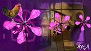 Potansiyeliniz | Сіздің әлеуетіңіз | Return Of The Color Purple